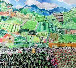 Simon, Hilar: Cabbages and Lilies, Solola Region, Guatemala