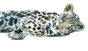 Adlington, Mark: Broken Siesta