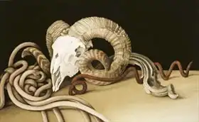 Barron, Jenny: Vanitas, 2004