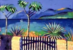 Hayward, Sar: Mediterranean Garden