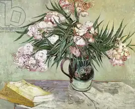 Gogh, Vincent van: Oleander and books
