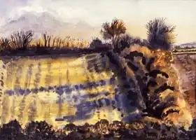 Thewsey, Joa: Field with Long Shadows