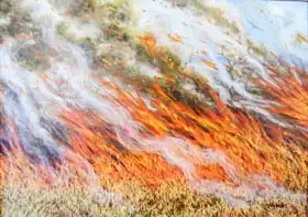 Willis, Till: Bushfire Inferno