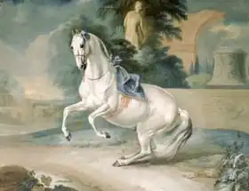 Hamilton, J.G.: The White Stallion 