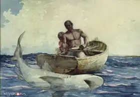 Homer, Winslow: Shark fishing