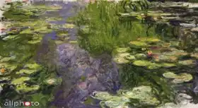 Monet, Claude: Water Lilies
