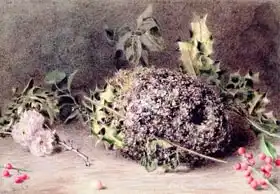 Hunt, William Henry: Long Tailed Tits