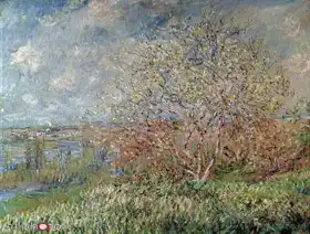 Monet, Claude: Spring