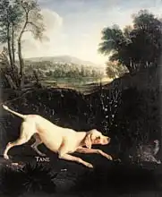 Desportes, Alexandre-Francois: Louis XIV