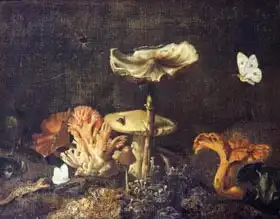 Schrieck, Otto Marseus van: Still Life with Mushrooms and Butterflies