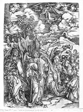 Dürer, Albrecht: Scene from the Apocalypse, The Four Angels holding the winds, Latin edition