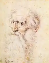Dürer, Albrecht: Portrait of a bearded old man