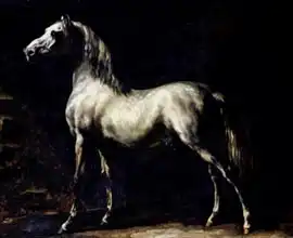 Géricault, Théodore: Study of a Dapple Grey