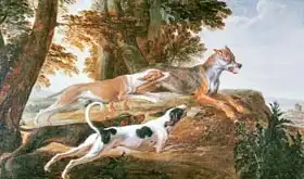 Desportes, Alexandre-Francois: The Wolf Hunt