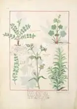 Testard, Robinet: Illustration from 