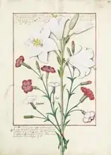Testard, Robinet: Illustration from the 