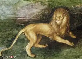 Dürer, Albrecht: Lion