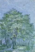 Goltzius, Hendrik: Group of Trees in a Wood