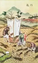 Chinese Schoo: The Story of Rice