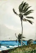 Homer, Winslow: Palm Tree, Nassau