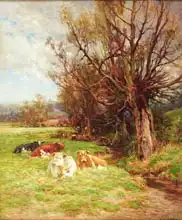 Adams, Charles James: Cattle grazing