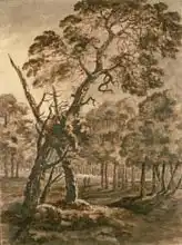 Gilpin, Rev. William: Forest Scene, A Giant Scots Fir and Forest Glade