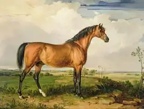 Ward, James: Eagle, a Celebrated Stallion