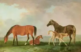 Gilpin, Sawrey: Mares and Foals