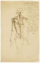 Ward, James: Drawing of a Man