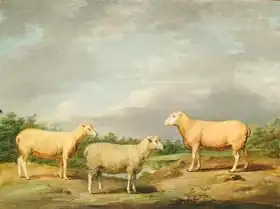 Ward, James: Ryelands Sheep, the King