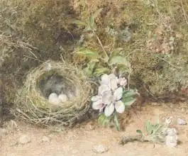 Hunt, William Henry: Bird